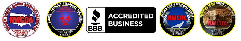 Certified Wildlife Control Company in Seneca SC