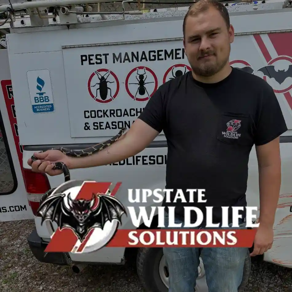 Georgia Wildlife Removal Company