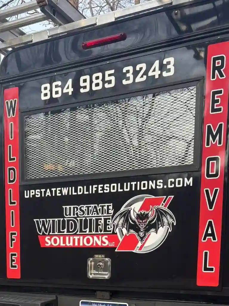 Seneca Augusta Greenville Cashiers Wildlife Control Company