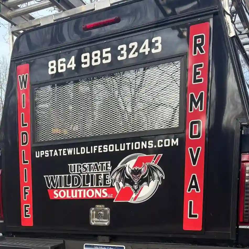 Wildlife Pest Control Services Company